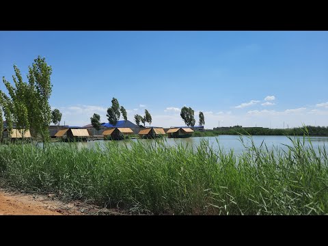 Видео: РЫБНЫЙ МИР ХОЖЕЛИ 🐟🦈🐡🐠
