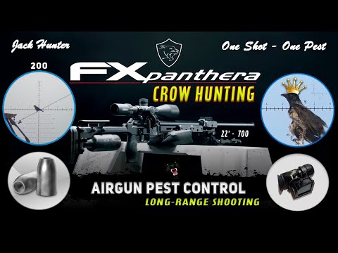 Видео: Охота на Королевскую Ворону 200+. FX Panthera. Airgun Pest Control - Crow Hunting 2024