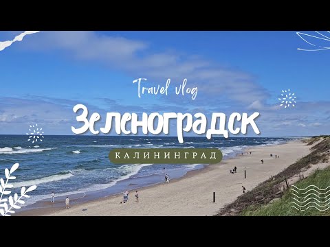 Видео: Калининград | Travel vlog | море, котики, закаты