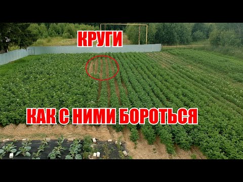 Видео: Круги, и что с ними делать?