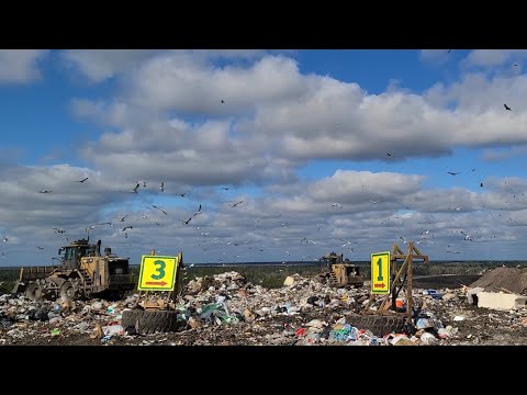 Видео: Дополнительный заработок на свалке Работа в США