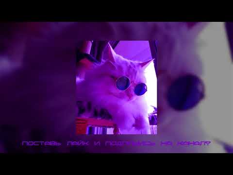 Видео: Плейлист чтобы почувствовать себя в эдите!  Вайбовый плейлист! Плейлист песен из Тик Тока! Tik Tok!