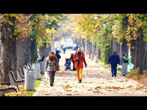 Видео: Пять важных изменений в октябре 2024 года: разбираем новые законы