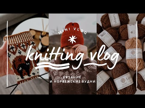 Видео: vlog 16/24 | довязала свитер Taiga 🧶 готовые работы и планы ✨️ вяжу жаккардовые носки с котами