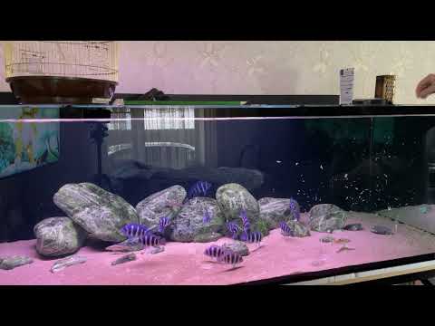 Видео: 14 февраля 2022 г.