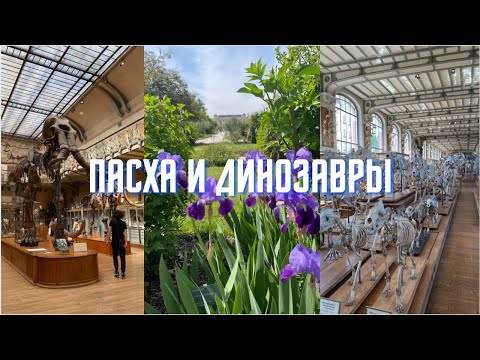 Видео: ПАРИЖСКИЙ ВЛОГ // Французская Пасха, скелеты динозавров и посуда с блошиного рынка!