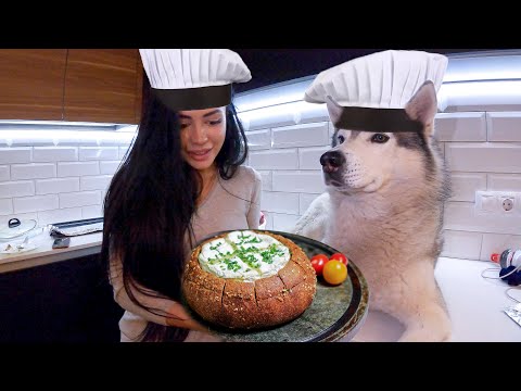 Видео: ХАСКИ ГОТОВИТ КУШАТЬ! Готовим дома простой рецепт / Собаки на Мастер Шеф