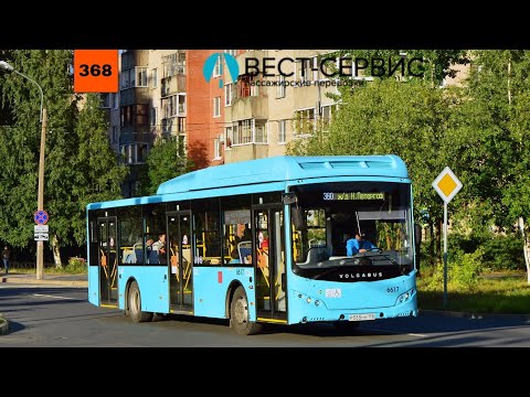 Видео: 29.07.23 Автобусный маршрут 368 борт. 6617 в Санкт-Петербурге(г. Колпино).