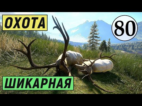 Видео: TheHunter Call of the Wild - ШИКАРНАЯ ОХОТА - ЗАКАЗНИК СЕРЕБРЯНЫЕ ВЕРШИНЫ # 80