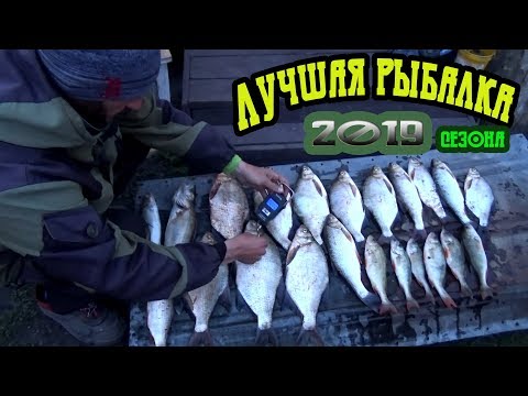 Видео: ВОТ ТАК ПОПАЛИ НА РАЗДАЧУ|ЗАКИДУШКИ В ДЕЛЕ|Лучшая рыбалка 2019