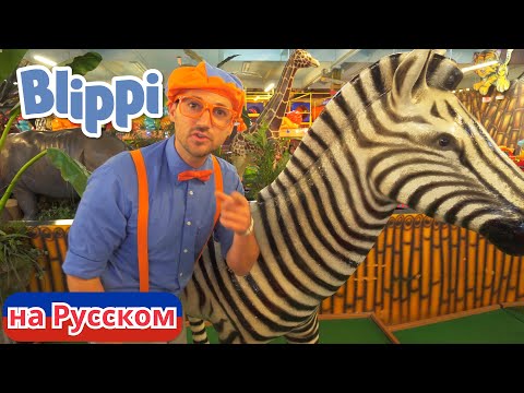 Видео: Блиппи изучает животных джунглей | Блиппи на Русском | Изучай этот Мир вместе с Блиппи | Blippi