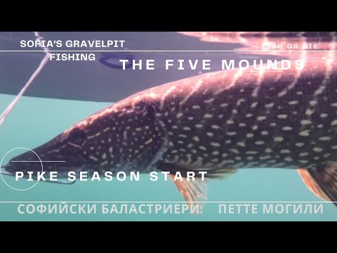 Видео: Щука по баластриерите - Pike at the gravelpits