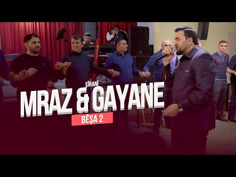 Видео: Mraz & Gayane //Shirani //Езидская помолвка 2024 PART 2