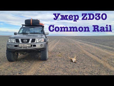 Видео: ZD30 CRD- застучал после свапа...
