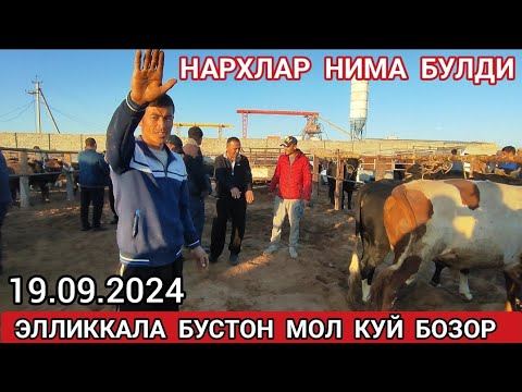 Видео: 19 сентября 2024 ЭЛЛИККАЛА БУСТОН МОЛ КУЙ БОЗОР НАРХИ