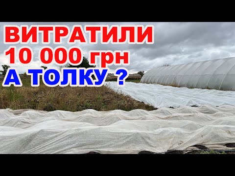 Видео: Тест агроволокна на практиці. Як пережили перші приморозки ?