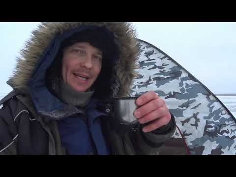 Видео: Корюшка на финском заливе!Порт Бронка! Бешенный клёв корюшки в глухозимье!