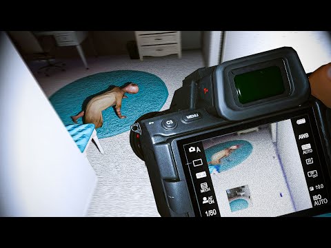 Видео: ПОСЛЕДНЯЯ ФОТОГРАФИЯ || PHASMOPHOBIA