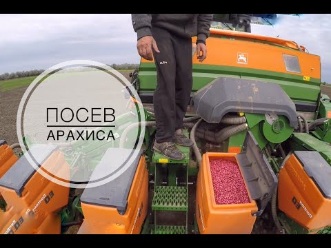 Видео: Посев АРАХИСА: не все так легко | МТЗ-82 и John Deere 7200