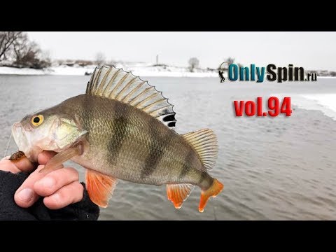 Видео: Ловля на отводной поводок  Места ловли  #OnlySpin