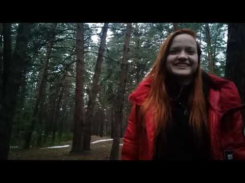 Видео: Вызов Тикки Тоби в лесу