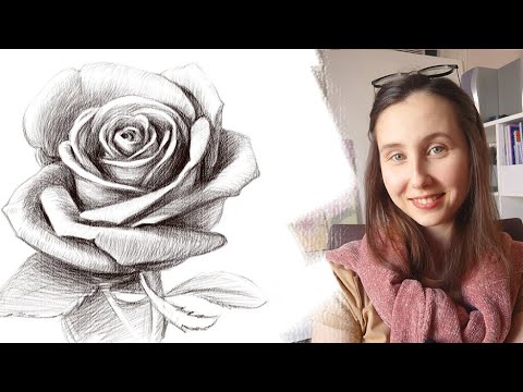 Видео: Как нарисовать розу карандашом поэтапно для начинающих