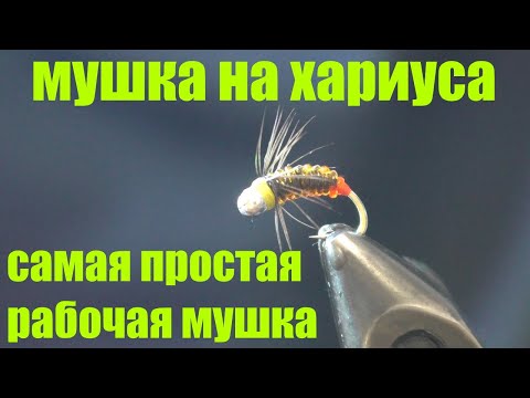 Видео: Мушка на хариуса.