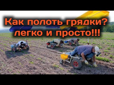 Видео: 🍓Прополка грядок клубники🍓 и не только. Легко и быстро!!! Belklubnika.by