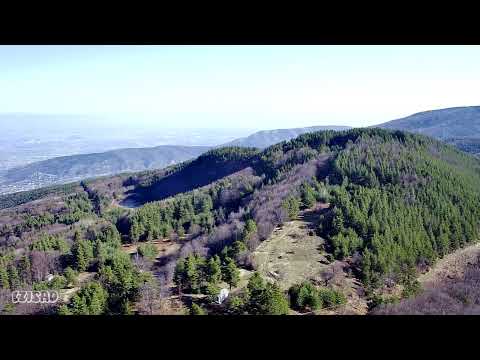 Видео: с.Бойково - 17 февруари 2024г.