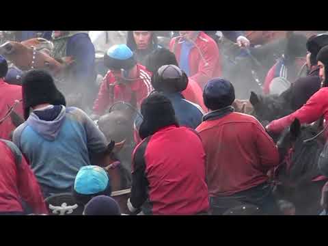 Видео: Кокпар. Каракосе Исабек кажы кокемиздин елден бата алу кокпары. Часть-3