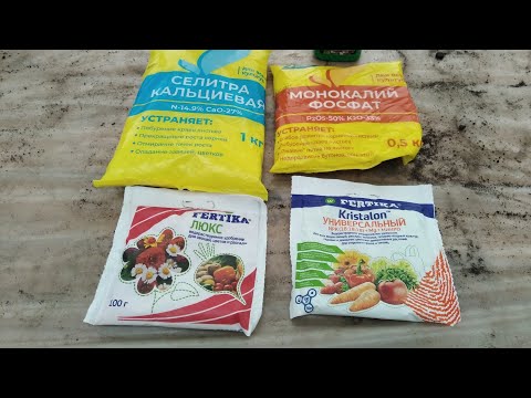 Видео: Каким УДОБРЕНИЕМ ПОДКОРМИТЬ ЦВЕТЫ дальше? Смотрим ПО РАЗВИТИЮ рассады!
