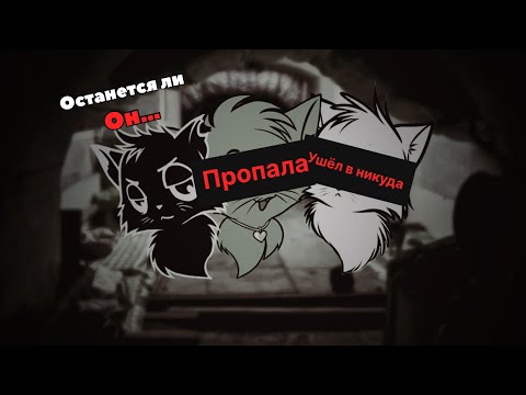 Видео: ЧТО СТАЛО С КАНАЛОМ «КОТЫ ЮТУБЕРЫ»?
