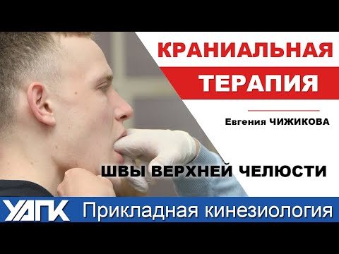 Видео: Что делать, если первопричина в швах челюсти? Разбор и коррекция (Евгения Чижикова)