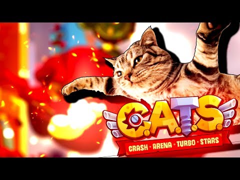 Видео: ЧИТЕРСКИЙ КОТ КОТОРЫЙ ВСЕГДА СВЕРХУ В CATS #20!