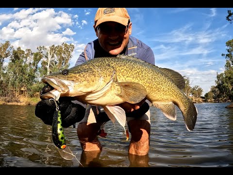 Видео: Возвращение к реке Лоддон, Мюррей-Код и Йеллас