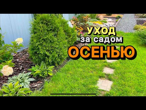 Видео: СЕНТЯБРЬ - что можно/нужно сделать в саду!