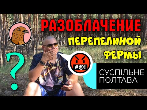 Видео: РАЗОБЛАЧЕНИЕ ПЕРЕПЕЛИНОЙ ФЕРМЫ | СУСПІЛЬНЕ ПОЛТАВА