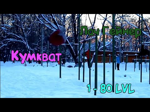 Видео: СОСКОКИ С ТУРНИКА 1 - 80 LVL (STREET WORKOUT)