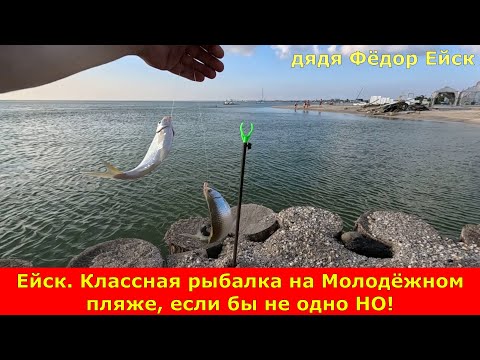 Видео: Ейск. Классная рыбалка на Молодёжном пляже, если бы не одно НО!