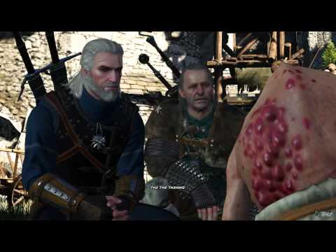 Видео: Ведьмак 3 самые прикольные диалоги часть 3
