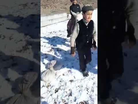 Видео: улак тамаша айылы кадамжай району