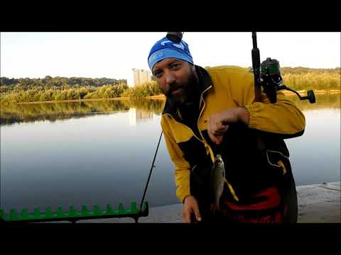 Видео: Рыбалка на Припяти в августе в черте города Мозырь.