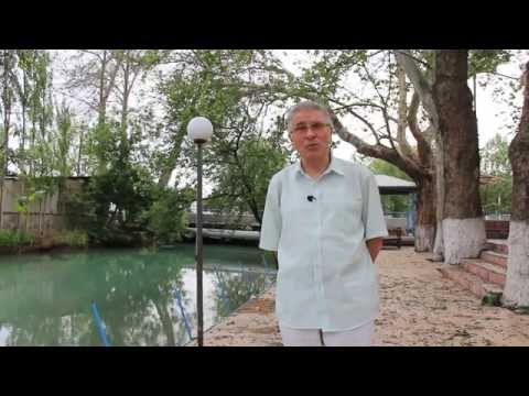 Видео: Видеолекторий «Ферганы.Ру»: Дорога на Чимган