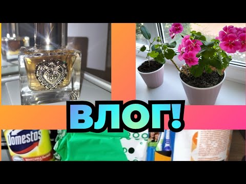 Видео: Влог обо ВСЁМ! Новый аромат, цветы и покупки в дом!