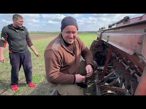 Видео: Підживлюємо і кумові хліб)
