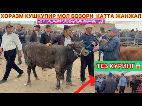 Видео: ХОРАЗМ КУШКУПИР МОЛ БОЗОРИ  КАТТА ЖАНЖАЛ ТЕЗ КУРИНГ 25-сентября 2025 г.