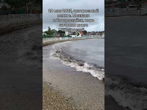 Видео: Последние весенние дни перед сезоном #море #юг #отдых