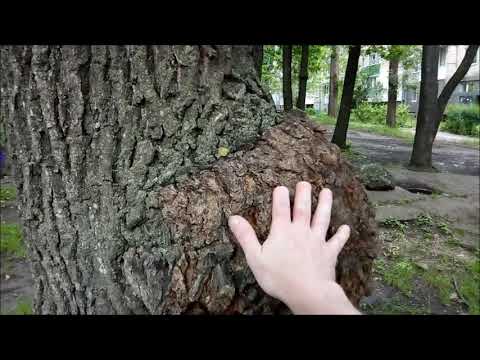 Видео: г. Бельцы Молдова 8-й квартал.