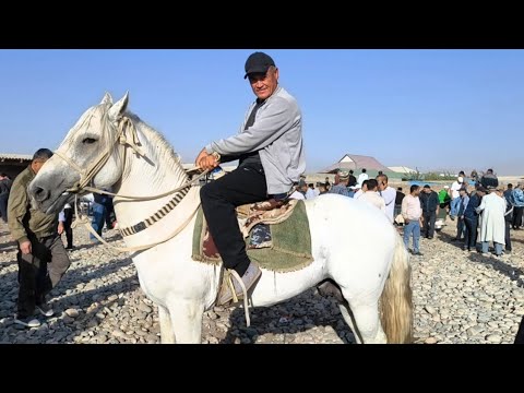 Видео: СУРХОНДАРЁ САРИОСИЁ ОТ БОЗОРИ ИШКИБОЗЛАРИ ОМОНМИСИЗЛАР