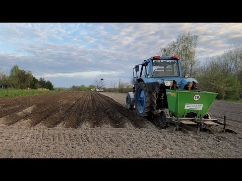 Видео: Саджаємо картоплю саджалкою Bomet‼️МТЗ 80❌